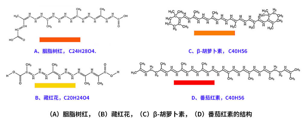 藏红花、胭脂树红、β-胡萝卜素、番茄红素的化学结构